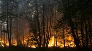 Feu "fix&eacute;" ou "ma&icirc;tris&eacute;"? Glossaire de la lutte contre les incendies
