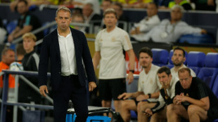N&auml;chster Flop: Flick mit schwerer Hypothek in EM-Saison