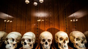 Esqueletos anônimos põem museu dos EUA no centro de um debate ético