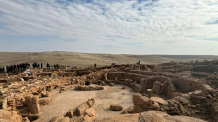 In Turkey, ancient carved faces shed new light on Neolithic society
