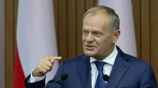 Polen kritisiert deutsche Grenzschutz-Pl&auml;ne - dringende Beratungen angek&uuml;ndigt