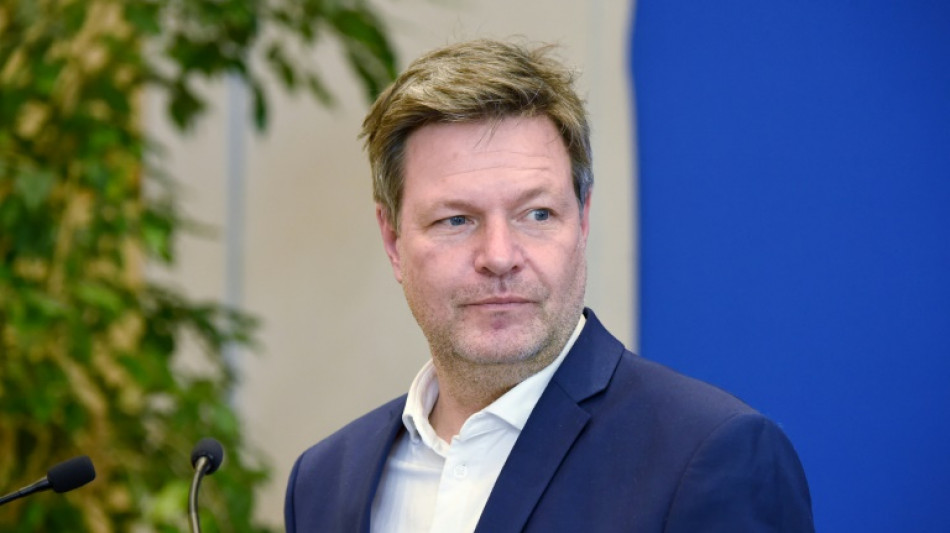 Habeck sagt Unterst&uuml;tzung des Schiffbaus in Deutschland zu