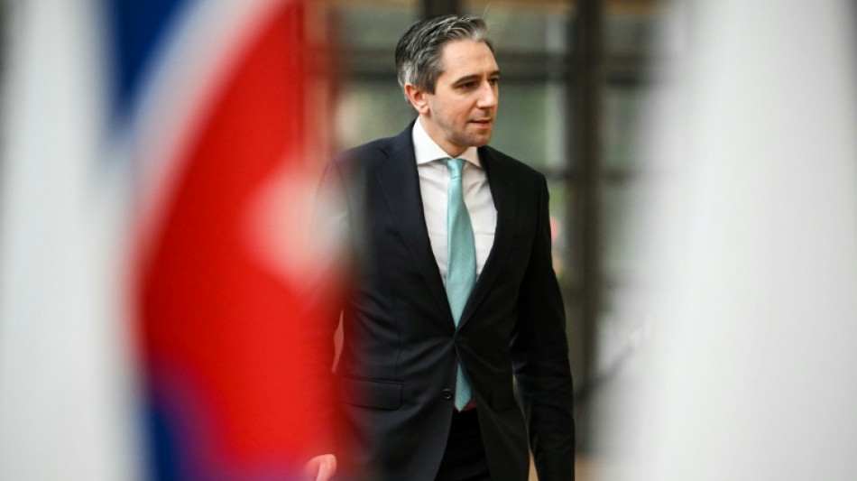 Irlanda votar&aacute; en contra del acuerdo comercial UE-Mercosur