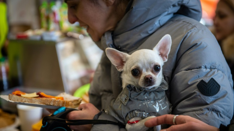 Tierschutzbund fordert Ausnahmeregelungen f&uuml;r Haustiere ukrainischer Fl&uuml;chtlinge