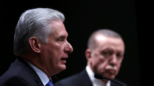 El Parlamento reelige a Miguel D&iacute;az-Canel como presidente de Cuba hasta 2028