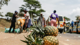 Au Kenya, des gardes du g&eacute;ant am&eacute;ricain Del Monte accus&eacute;s d'agressions, de viols et de meurtres