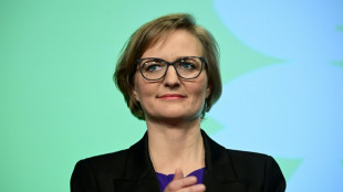 Brantner fordert von Bundesregierung Stopp von Waffenexporten für Einsatz in Gaza