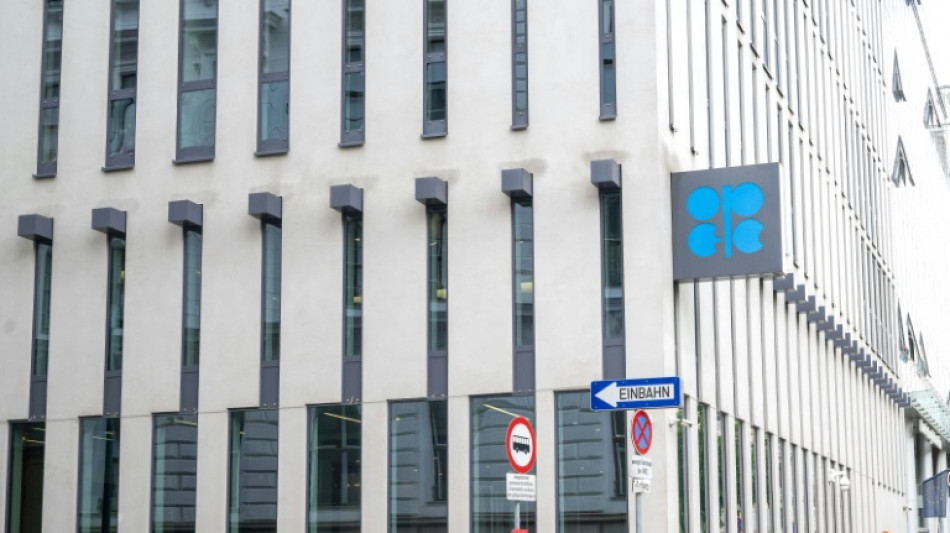 Emirados &Aacute;rabes Unidos deixar&atilde;o Opep em maio para proteger 'interesse nacional'