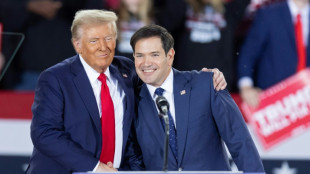 US-Medien: Trump will Floridas Senator Marco Rubio zu seinem Au&szlig;enminister machen