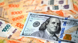 Argentinos en el laberinto de un d&oacute;lar 'barato' y con poca demanda