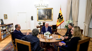 Steinmeier gibt gr&uuml;nes Licht f&uuml;r Zeitplan zu Neuwahl