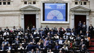 Argentiniens Parlament verabschiedet umstrittenes Reformpaket von Pr&auml;sident Milei