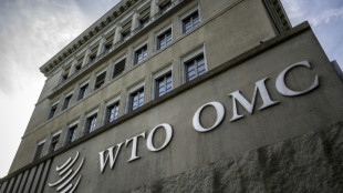 Tensão entre EUA e Brasil aumenta com tarifaço de 50% e consulta na OMC
