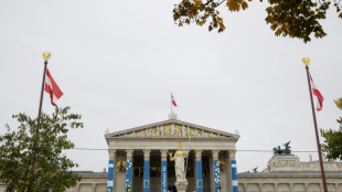L'interdiction du voile &agrave; l'&eacute;cole pour les fillettes au menu des d&eacute;put&eacute;s autrichiens