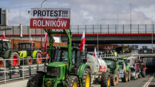 Importations d'Ukraine: les 27 durcissent les restrictions, sans plafonner le bl&eacute;