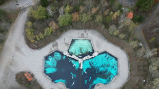 Marineland Canad&aacute; pide permiso para vender 30 belugas a EEUU