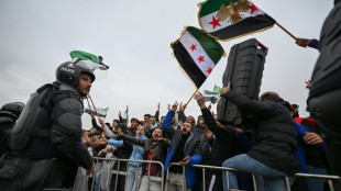 Syria's Sharaa calls for united efforts to rebuild a year after Assad's ouster