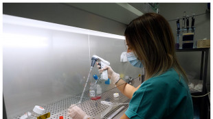 Verso virus ingegnerizzati per trasportare farmaci al cervello