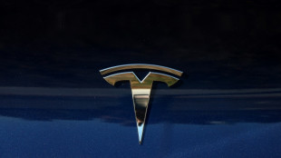 Tesla chega a acordo em processo por acidente fatal envolvendo seu piloto autom&aacute;tico