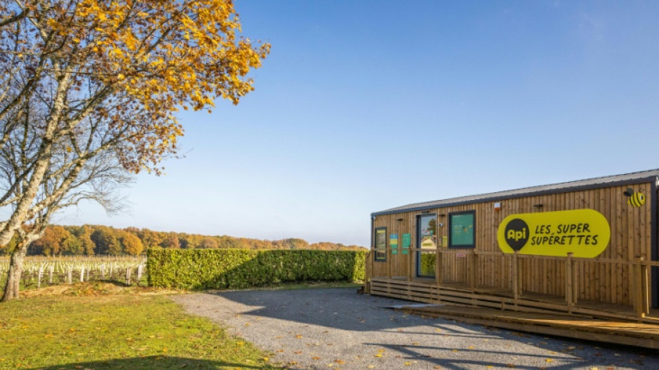 "Redynamiser" les campagnes, le pari des sup&eacute;rettes en libre-service Api