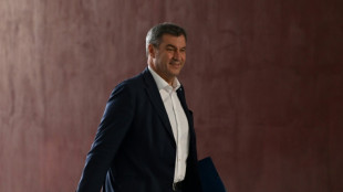 CSU will bayerischen Bauernpr&auml;sidenten Fel&szlig;ner als Bundesagrarminister