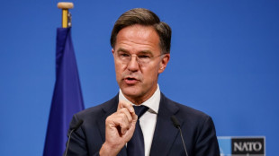 Nato: Rutte sprach mit Trump &uuml;ber "globale Sicherheitsprobleme"