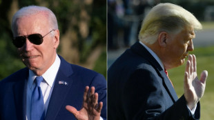 "Don le fauch&eacute;": Biden savoure son avantage financier sur Trump