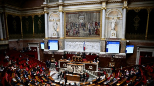 IVG dans la Constitution: la "libert&eacute; garantie" convainc l'Assembl&eacute;e