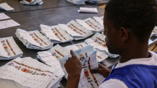Chaos bei Wahlen in Namibia - Beh&ouml;rde k&uuml;ndigt zwei zus&auml;tzliche Wahltage an