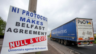 Irlande du Nord: Londres pr&eacute;sente sa r&eacute;vision du statut post-Brexit