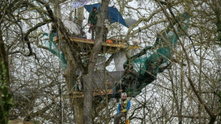 Sur le trac&eacute; de l'A69, trois "&eacute;cureuils" perch&eacute;s et un chantier qui continue d'avancer