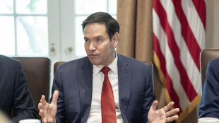 Rubio, 'la decisione su Afd è tirannia mascherata'