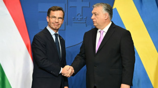 Ungarisches Parlament stimmt &uuml;ber Nato-Beitritt Schwedens ab