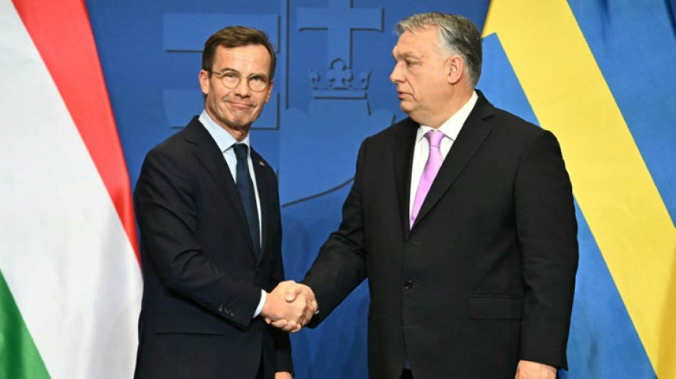 Vor Votum zu Nato-Beitritt: Ungarn und Schweden verst&auml;rken Milit&auml;rzusammenarbeit