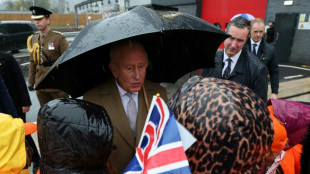 El rey Carlos III celebra su 77 cumplea&ntilde;os decidido a seguir trabajando pese a su c&aacute;ncer