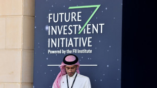 Posponen el foro "Davos del desierto" en Arabia Saudita por los ataques hut&iacute;es