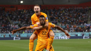 Pa&iacute;ses Bajos fulmina las ilusiones de EEUU y es primer clasificado a cuartos