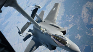 Le Canada compte acheter 88 avions de combat F-35 à Lockheed Martin (ministre)