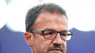 Bobic erwartet hei&szlig;en Transfersommer: "Wird eine wilde Jagd"
