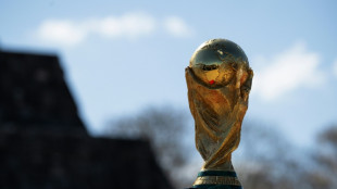 Supporters' group file lawsuit against 'excessive' World Cup ticket prices