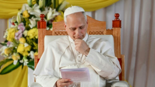 El papa denuncia en Camer&uacute;n el uso de la IA para fomentar "conflictos, miedos y violencia"