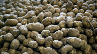 Inflationsrate im Februar unter zwei Prozent - Teuerung bei Lebensmitteln geringer