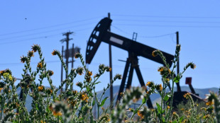 Oil plunges, stocks steady as Trump says Iran war over 'very soon'