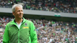 Favre wird nicht Gladbach-Trainer