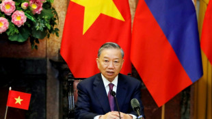 Pr&auml;sident Lam wird neuer kommunistischer Parteichef in Vietnam 