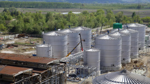 Unem, i biocarburanti hanno un alto potenziale