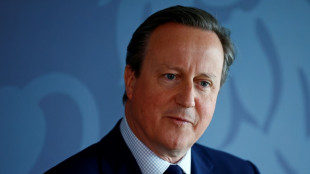 Britischer Au&szlig;enminister Cameron zu Gespr&auml;chen in Br&uuml;ssel erwartet