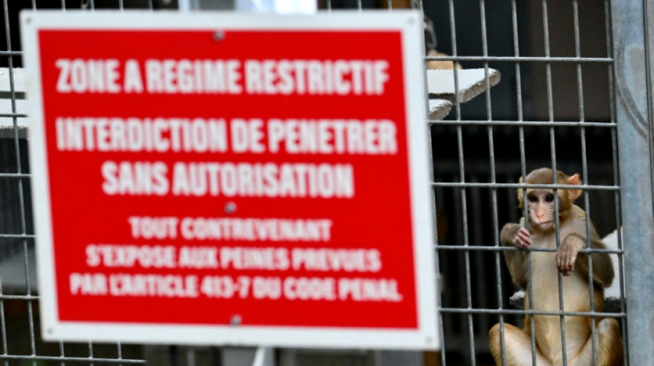 En Provence, l'extension d'un discret centre d'&eacute;levage de singes de laboratoire divise