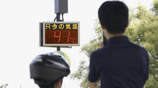 Ondata di caldo in Giappone, massime record nelle grandi citt&agrave;