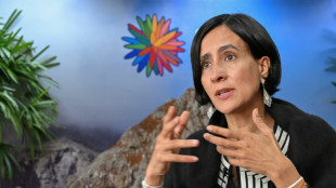 UN-Artenschutzkonferenz: Noch kein Abkommen bei COP16 in Kolumbien in Sicht